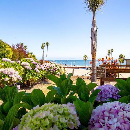 Edgewater Beach Inn サンタクルーズ エクステリア 写真