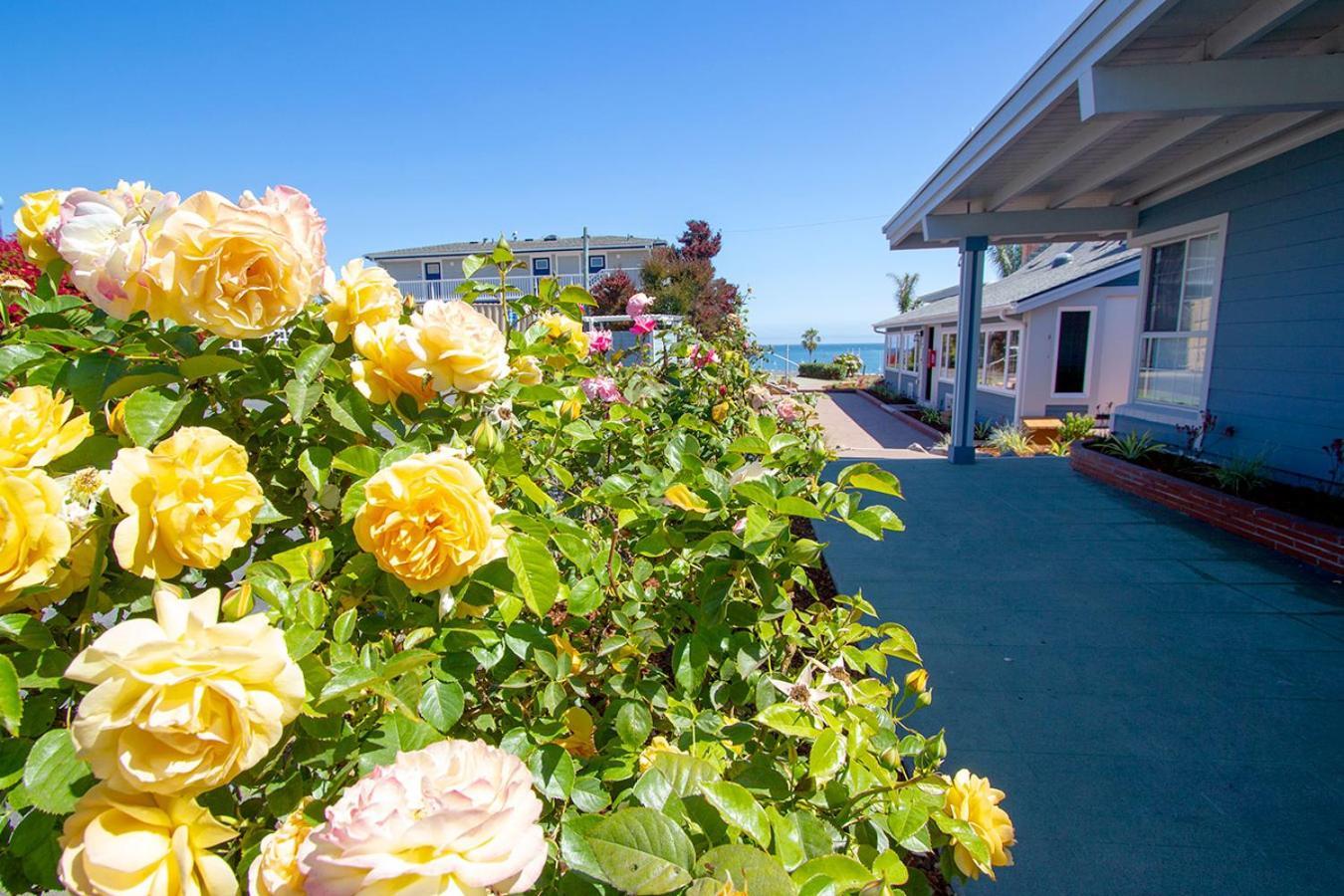 Edgewater Beach Inn サンタクルーズ エクステリア 写真