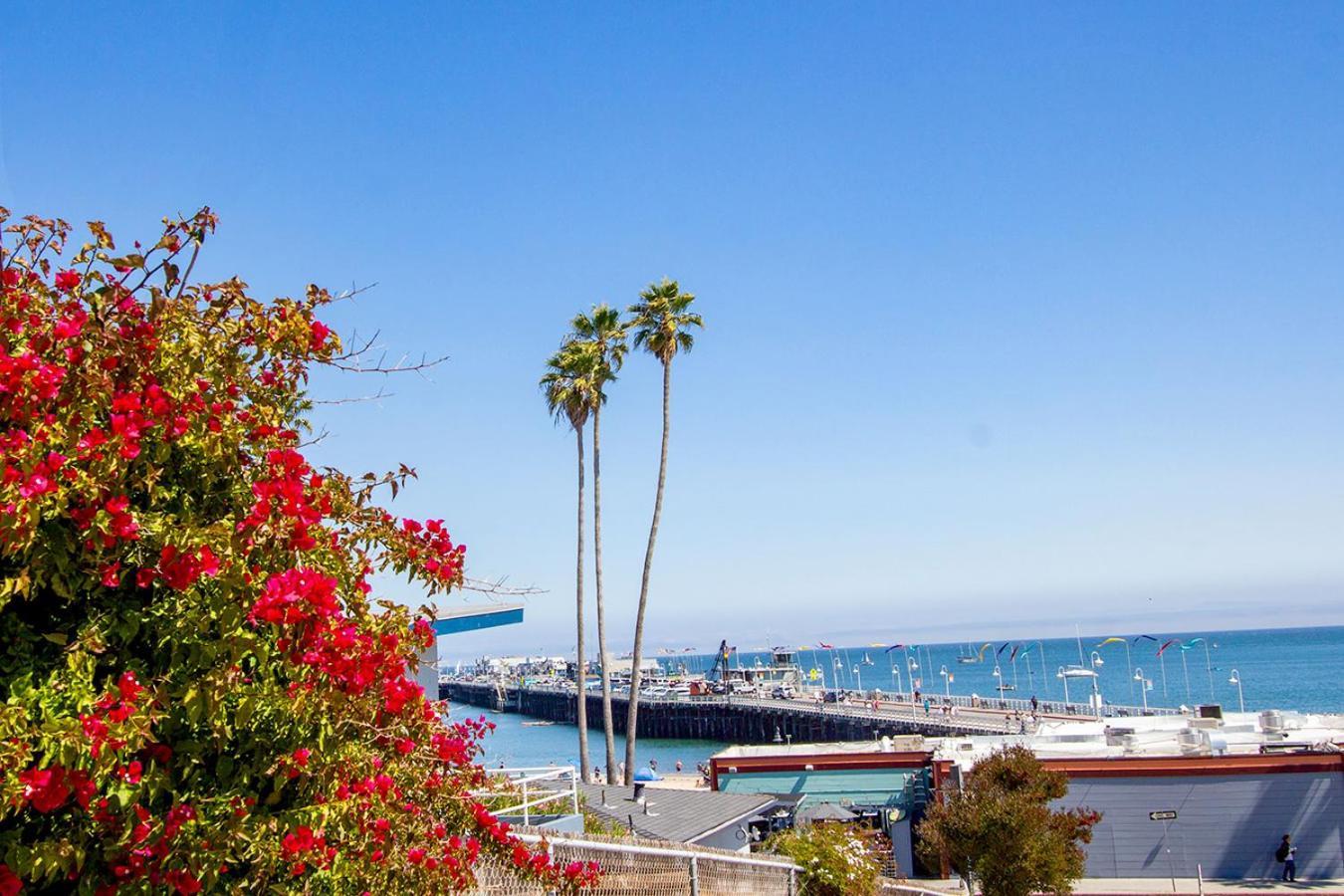 Edgewater Beach Inn サンタクルーズ エクステリア 写真